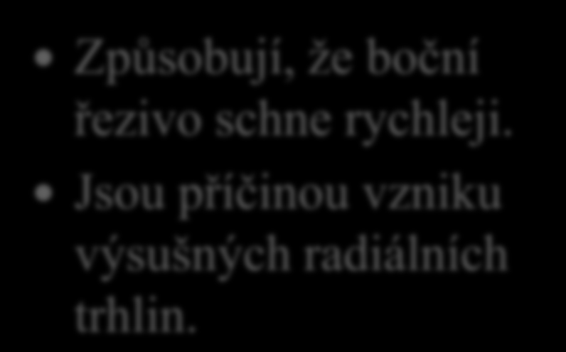 Vliv stavby dřeva na jeho sušení 3. Jaký vliv na sušení dřeva mají dřeňové paprsky?