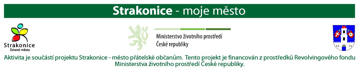 Z hlediska veřejných služeb jsou nejméně spokojeni se středními školami ve městě a sociálními službami. Na druhou stranu si cení fungování sportovních areálů.