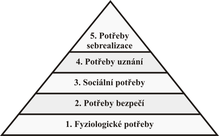 je cílové směřuje k dosažení vybraného cíle, je motivované snaží se uspokojit určitou potřebu.