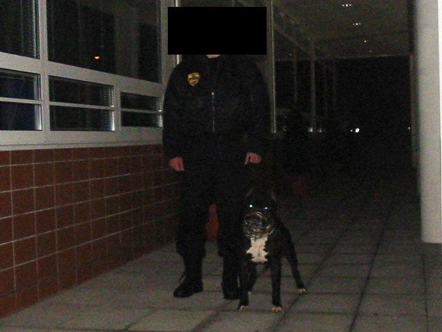 Zabránit vstupu osob a vjezdu vozidel do objektu na místech mimo kompetence propustkové služby zabránit nekontrolovanému vynášení a vyvážení materiálů, zboží a dalších věcí ze střeženého objektu na
