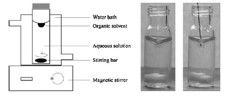 EXTRAKCE DO JEDINÉ KAPKY ROZPOUŠTĚDLA VARIANTY SDME M. A. Jeannot et al., J. Chromatogr. A 1217 (2010) 2326.