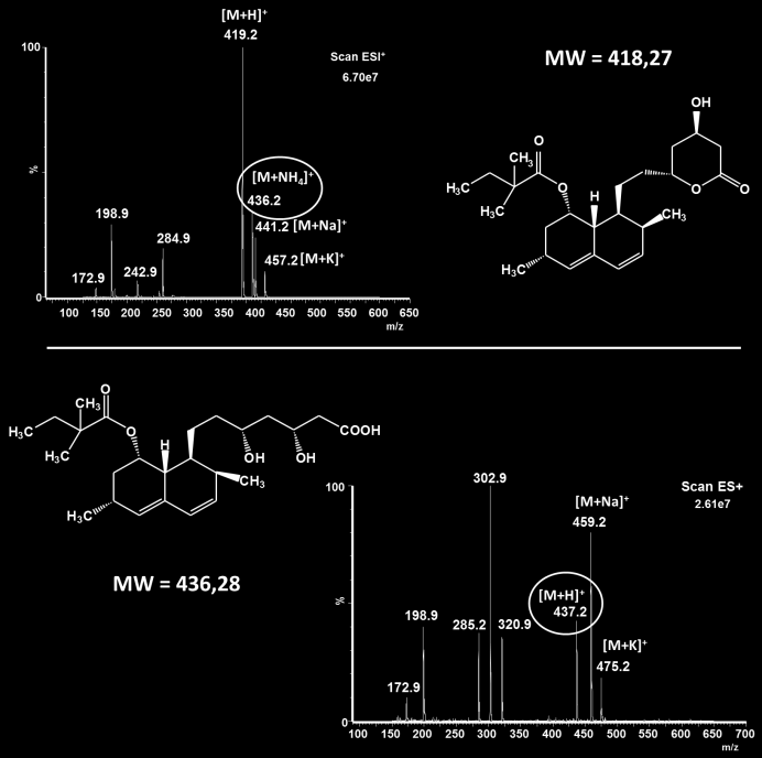 hydroxykyselina/lakton thiol/disulfid acylglukuronidy látky s