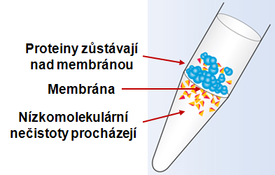 B) Proteiny by měly v co nejčistějším stavu Odstranění interferujících složek biologického materiálu: Solí, NK, lipidů, artificiálně