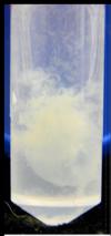 B) Proteiny by měly v co nejčistějším stavu Odstranění interferujících složek biologického materiálu: Solí, NK, lipidů, artificiálně přidaných látek Metody Precipitace proteinů Snížení rozpustnost
