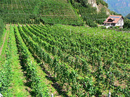 Akce 15. března 2010: MAS Moravská cesta, o. s. Vyhlášení 5. výzvy. 24. března 2010: MAS Podhostýnska, o. s. Vyhlášení 5. výzvy. 7.4.2010: Hotel Bouzov, seminář pro žadatele k 5.