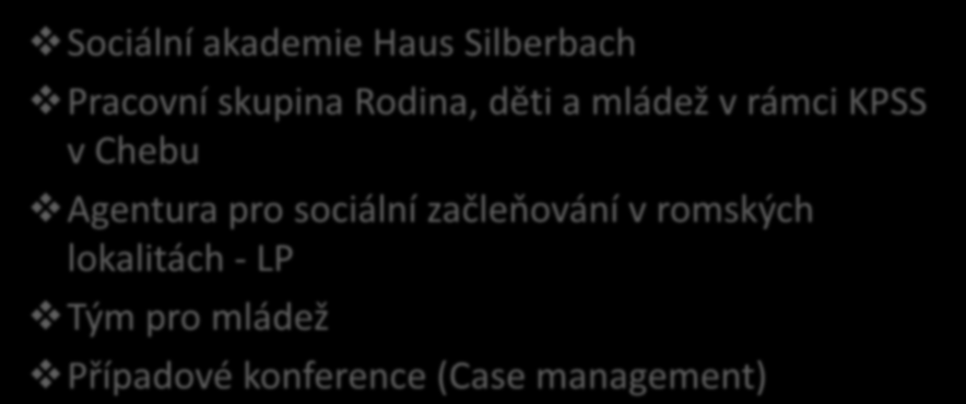 Spolupráce Sociální akademie Haus Silberbach Pracovní skupina Rodina, děti a mládež v rámci KPSS v Chebu