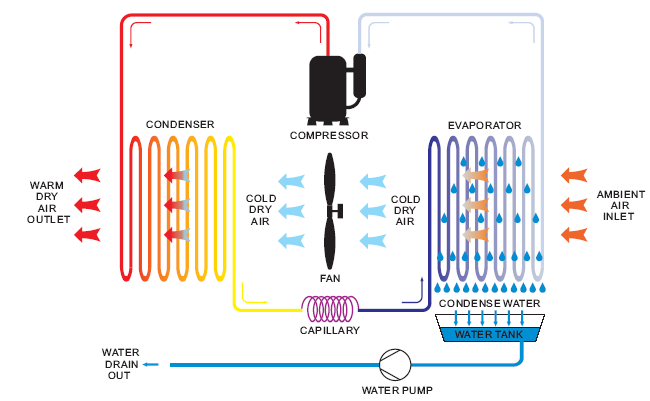 Princip odvlhčovače KONDENZÁTOR KOMPRESOR R VÝPARNÍK OTVOR PRO VÝSTUP TEPLÉHO SUCHÉHO VZDUCHU STUDENÝ SUCHÝ VZDUCH STUDENÝ SUCHÝ VZDUCH OTVOR PRO VSTUP OKOLNÍHO VZDUCHU VENTILÁTOR KONDENZOVANÁ VODA
