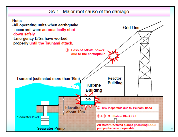 Hlavní příčiny poškození staniční blackout Elektrárna byla chráněna ochranou hrází navrženou tak, aby vydržely 5,7 m tsunami.