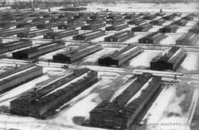 http://en.auschwitz.org.pl/m/index.php?