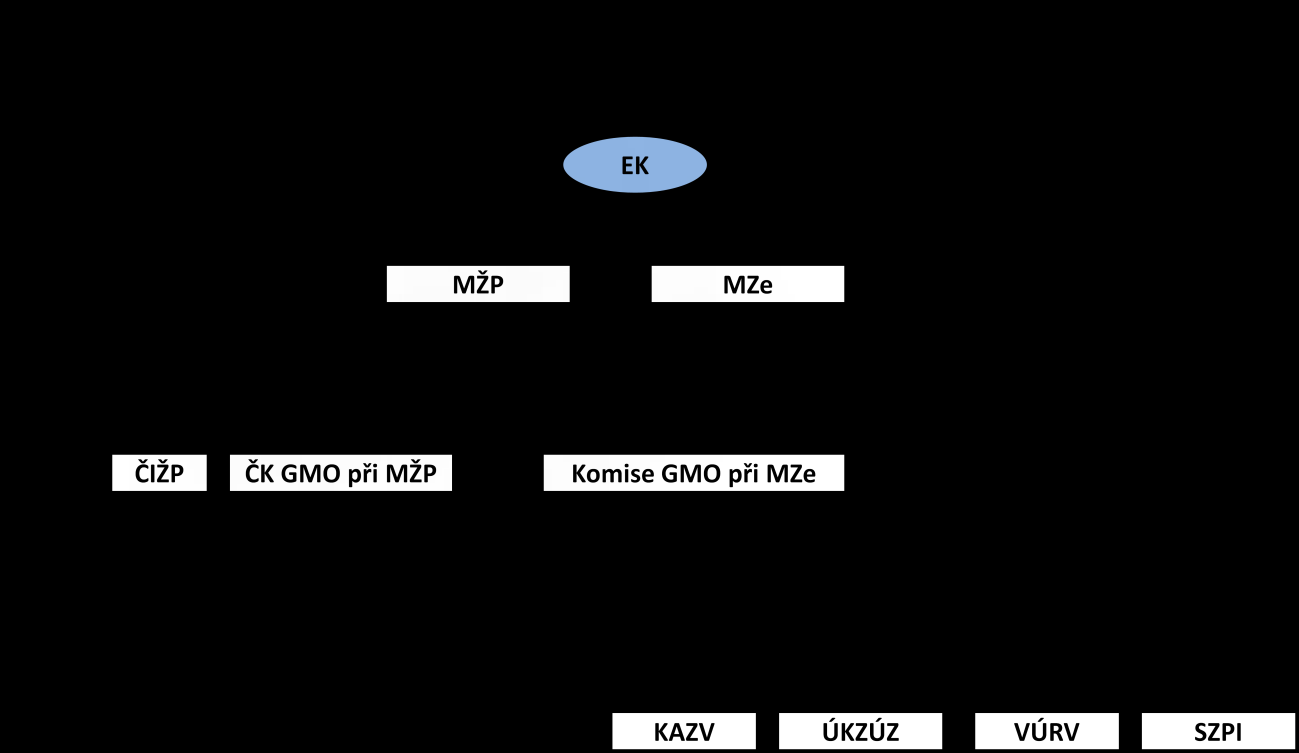 2. Přehled, vztahy a kompetence orgánů státní správy ČR a EK 2.1.