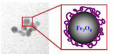 0D- Nanočástice Oxidy železa