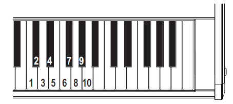 Ostatní funkce LP-180 umožňuje přehrávání demo songů a nastavení různých funkcí; zatímco držíte tlačítka PIANO PLAY a SOUND, stiskněte klávesu na klaviatuře, která je této funkci přidělena.