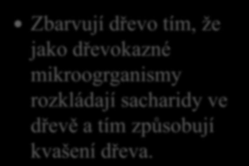 5. Jak poškozují dřevo bakterie?