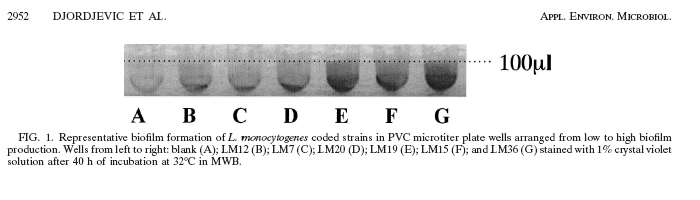 Listeria