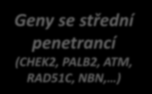 Genetika dědičného karcinomu prsu Analýza 963 rodin z Prahy a okolí (2000-2012) Bez mutace Geny se střední