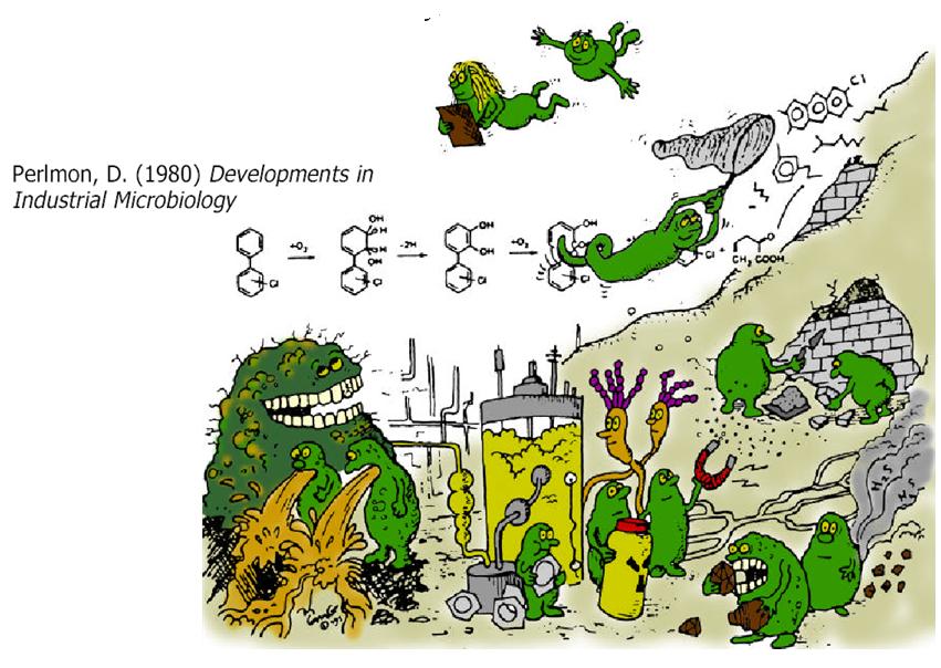 Využití nanotechnologií (a biotechnologií) pro čištění vod Miroslav Černík,