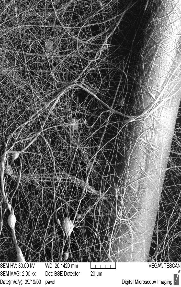 Nanofibres - examples PUR Nanofibres on the