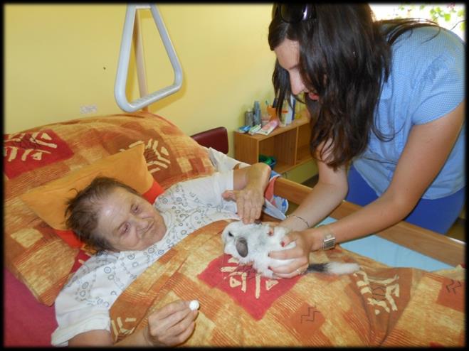 Od září 2013 do března 2014 probíhá v Domě pokojného stáří svaté Ludmily projekt Aktivizační činnosti pro seniory podpořený nadací O2 Think Big. Tento projekt vede studentka Gymnázia Dr.