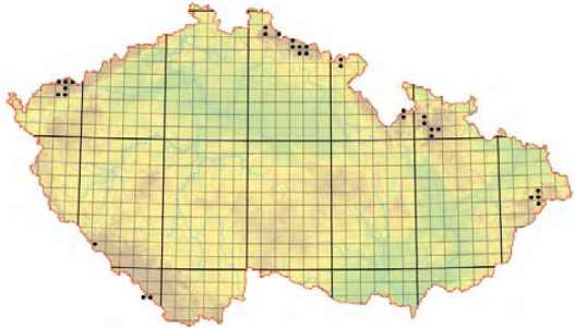 Vysokostébelná, vysokobylinná a kapradinová niva (6430) A4.