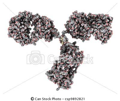 Fe (účinek antioxidační, imunomodulační, bakteriotoxický, antivirový, atd.