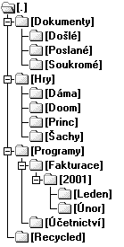 1 Disky, adresáře (složky) a soubory Disky Pro označení disku se používají písmena velké abecedy, za nimiž následuje dvojtečka.