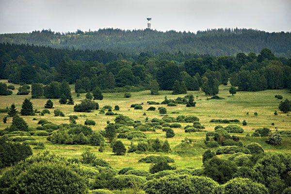 Poberounská subprovincie Brdská