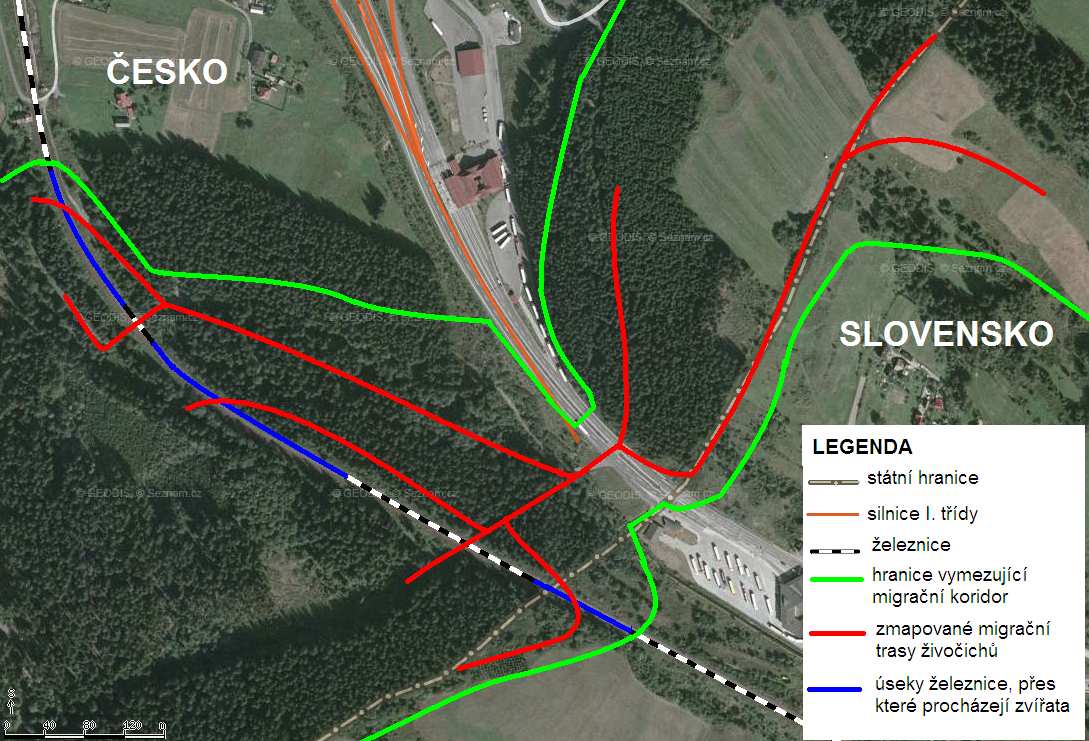 Mapa 4. Zmapované migrační trasy na koridoru Celnice (zákresy vycházejí ze sledování jelena lesního, prasete divokého, rysa ostrovida, srnce obecného, vlka obecného). (mapový podklad: http://mapy.