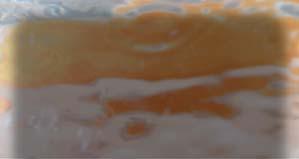 Wellvet Hydro Balm 100 ml, Art.-Nr. 000605004 Regenerační péče pro suchou a křehkou pokožku s avokádovým olejem a panthenolem. Kůže je po použití vyhlazená, a uvolněná.