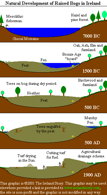 Přechodová rašeliniště (Raised bog) - přechodový typ rašeliniště mezi vrchovištěm a slatiništěm. Obsahují oligoa mezotrofní humolit.