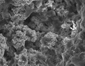OBROVSKÁ AKTIVNÍ PLOCHA NANOČISTIČKY FN 1 m 2 plochy nanočističky FN obsahuje 500 m 2 aktivního povrchu, na němž probíhá čistící proces.