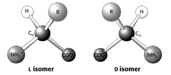 Tab. 1 Struktura a chemické značení karnitinu systematický název IUPAC název triviální název 3-hydroxy-4-N-trimetyl-amino-butarová kyselina