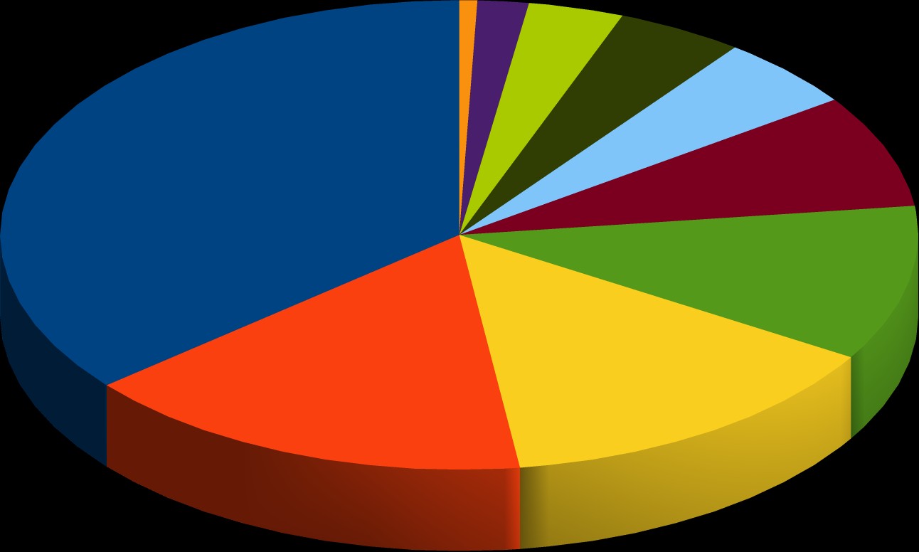 Incident TOP10 share by country June 15 China USA Turkey Australia Netherlands Hongkong Taiwan Russia Germany Poland Incident TOP10 share
