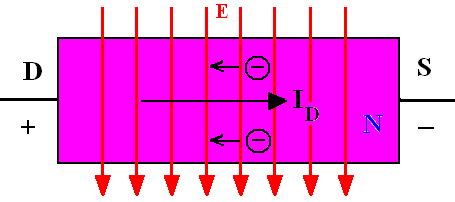 FET Field Effect Transistor unipolární tranzistory - aktivní součástky unipolární využívají k činnosti vždy jen jeden druh majoritních nosičů (elektrony nebo díry) pracují s kanálem jednoho typu