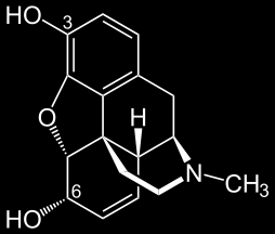 Morfin je alkaloid fenanthrenového respektive morfinanového typu, obsaz eny v opiu, tzv.