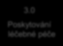 Procesní model nemocnice s inspirací dle APQC Hlavní procesy a funkce 1.0 Strategické plánování a řízení 2.0 Vývoj produktů a služeb, Plánování zdrojů 3.0 Poskytování léčebné péče 4.