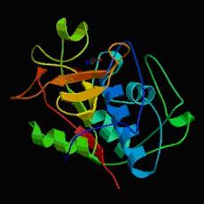 BRMELAIN Systémová enzymoterapie Endopeptidáza ze šťávy