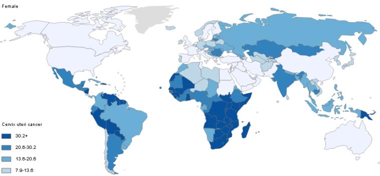 Incidence ZN děložního hrdla (C53) v mezinárodním srovnání SVĚT ASR (W) 0 20 40 60 80 ostatní země světa evropské země okolní země Česká republika 107.