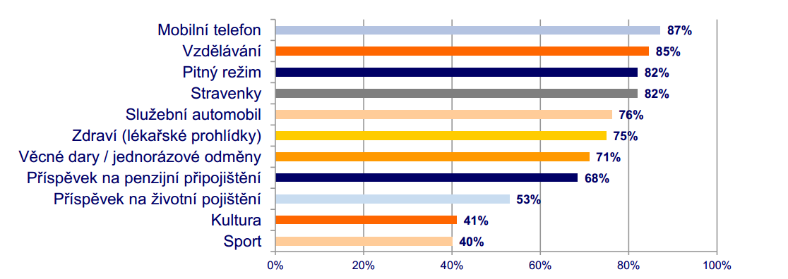 Graf č. 2: Nejčastější zaměstnanecké benefity Zdroj: ŠTĚRBOVÁ, 2013 Stále větší zájem je a do budoucna zřejmě bude o vzdělávání.