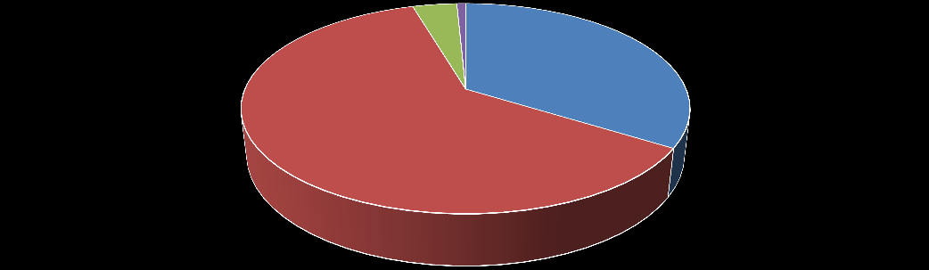 Slovní/číselné odpovědi je předmětem dalšího zpracování a analýz. (n= 47) 11.