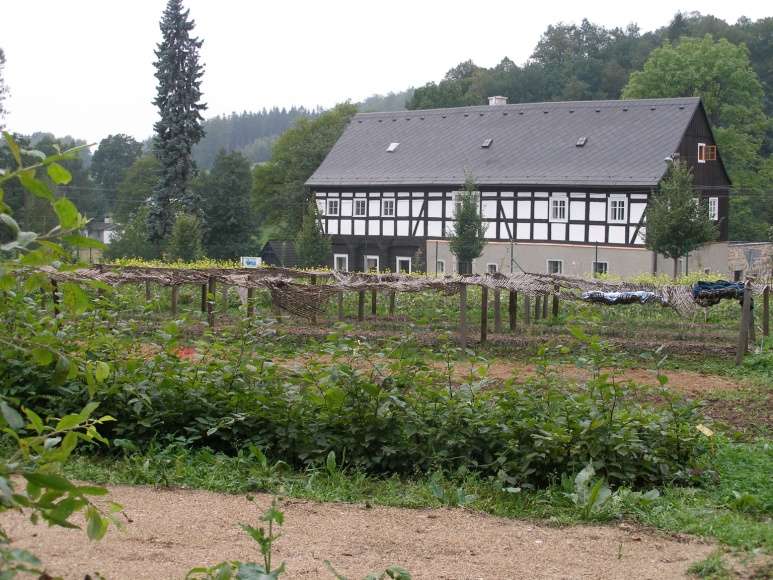 lesních školek, na kterých pěstuje původní druhy dřevin Jizerských hor a Frýdlantského