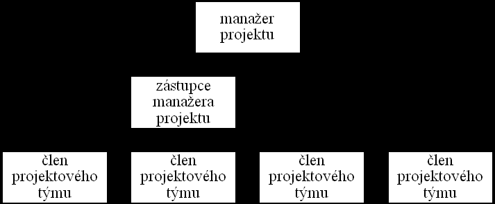 ORGANIZACE PROJEKTU (Organization Breakdown Structure) Popisuje