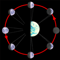 Pamatuj: Měsíční fáze se rozlišují podle toho, jak velkou část Měsíce ozářenou Sluncem můžeme pozorovat ze Země. Označujeme čtyři měsíční fáze: Nov. Měsíc je k Zemi přivrácen neosvětlenou stranou.