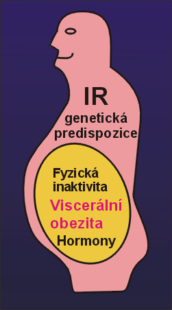 HYPERTRIGLYCERIDEMICKÝ PAS definovaný jako: Pas 90 cm u M 80 cm u Ž Triglyceridy 2 mmol/l je: Proaterogenní