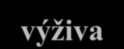 MAKROBIOTIKA - výživa Jako základní pravidlo makrobiotické výživy je JÍST POMALU, POTRAVU DOBŘE PROŽVÝKAT. Teorie tzv.