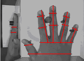 Jelikož ale není geometrie ruky příliš unikátní biometrickou vlastností, je její aplikace v bezpečnostní sféře omezena právě stupněm bezpečnosti, kterého chceme dosáhnout.