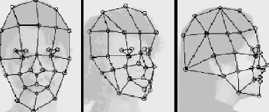 Obrázek č. 7: Síť vytvořená elastickým mapováním a obraz zpracovaný počítačem Identifikace osob dle geometrie tváře je dnes velice moderním a expandujícím principem.
