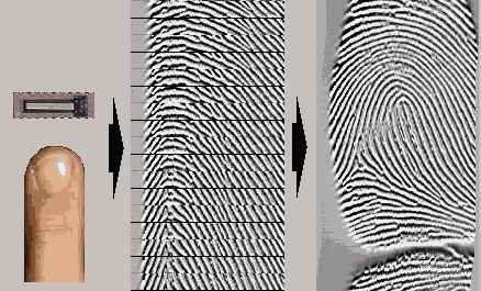 Snímání šablonováním Uživatel přejíždí prstem po senzoru, který snímá a opětovně skládá obraz pomocí pásů (viz Obrázek č. 29).