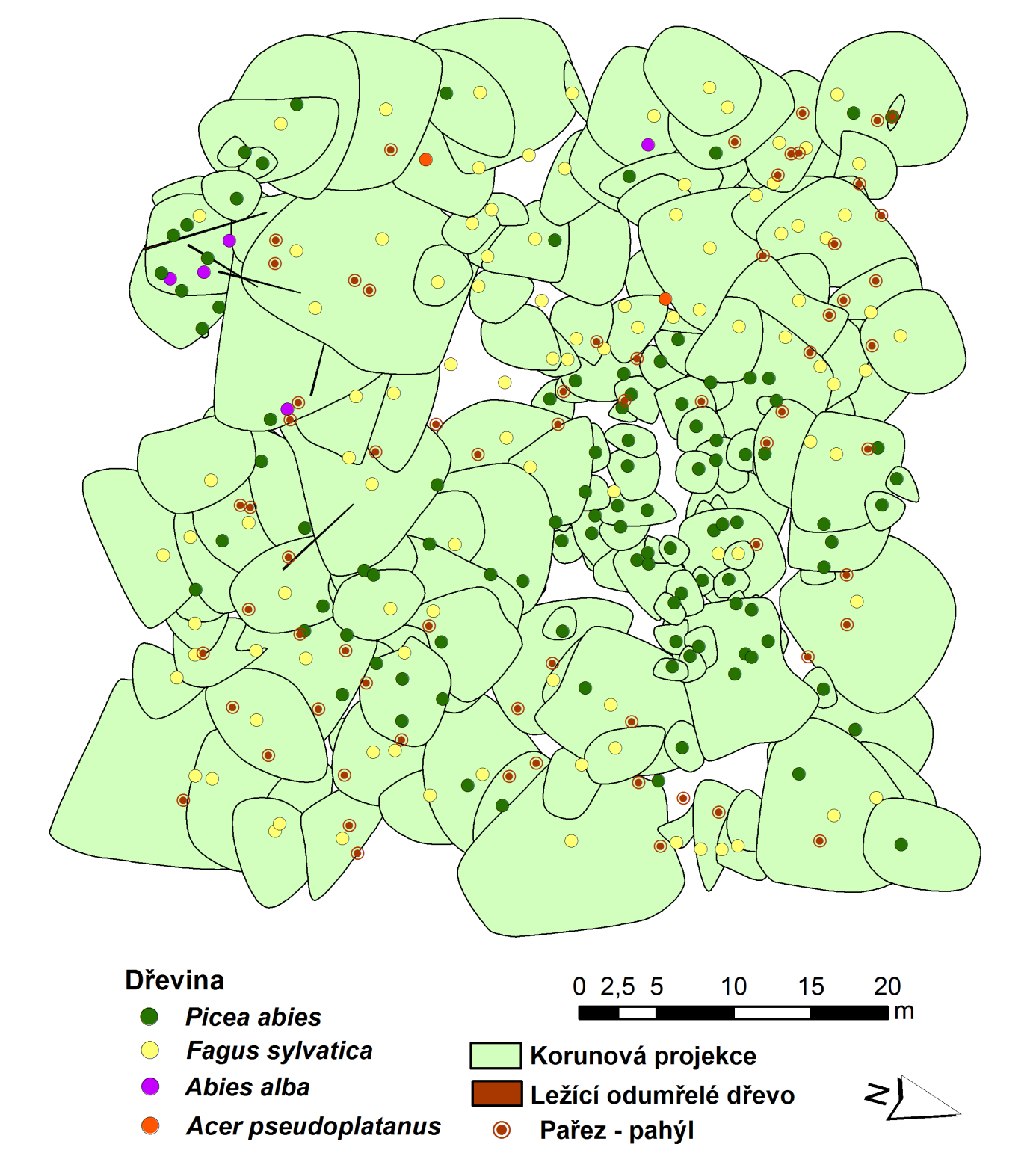 Mapa struktury porostu na TVP 6 Trčkov 1 v Chráněné krajinné oblasti