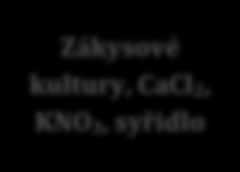 OBRÁZEK 1: SCHÉMA VÝROBY SÝRA SLADKÝM SRÁŽENÍM (ŠUSTOVÁ A SÝKORA, 2013) Příprava suroviny Syrové mléko tepelné ošetření Mezofilní kultura standardizace Zákysové kultury, CaCl 2, KNO