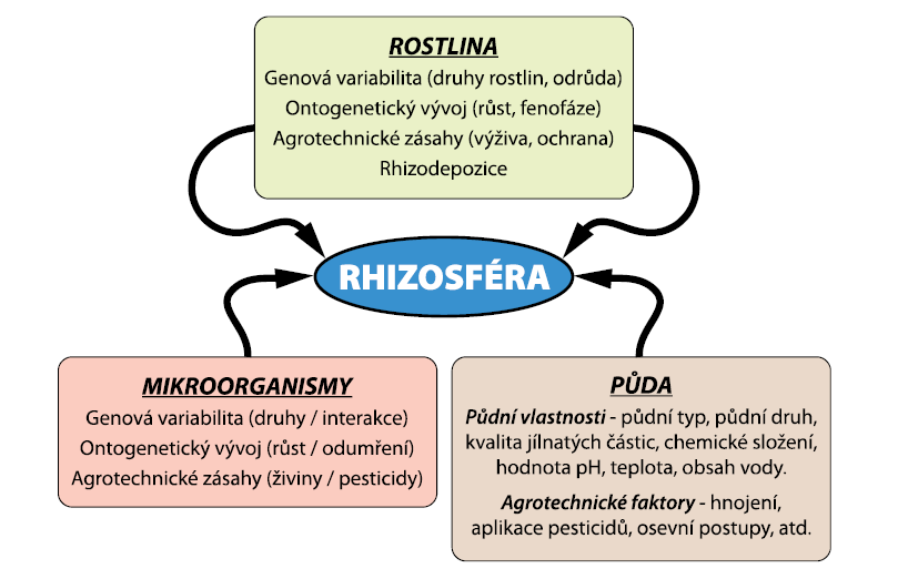 Interakce rostliny